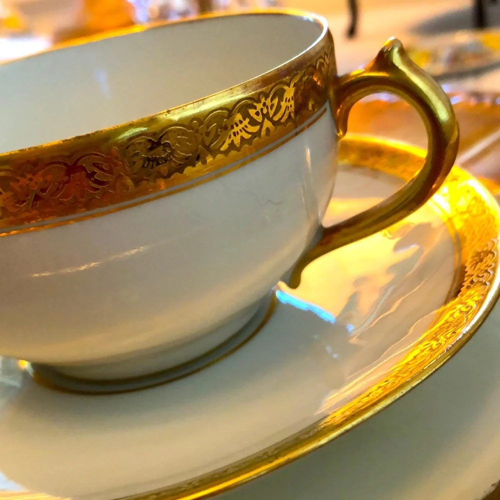 EUC- Nearly Pristine & Rare GDA France Haviland Limoges Calvados Teacup & Saucer - Picture 4 of 14